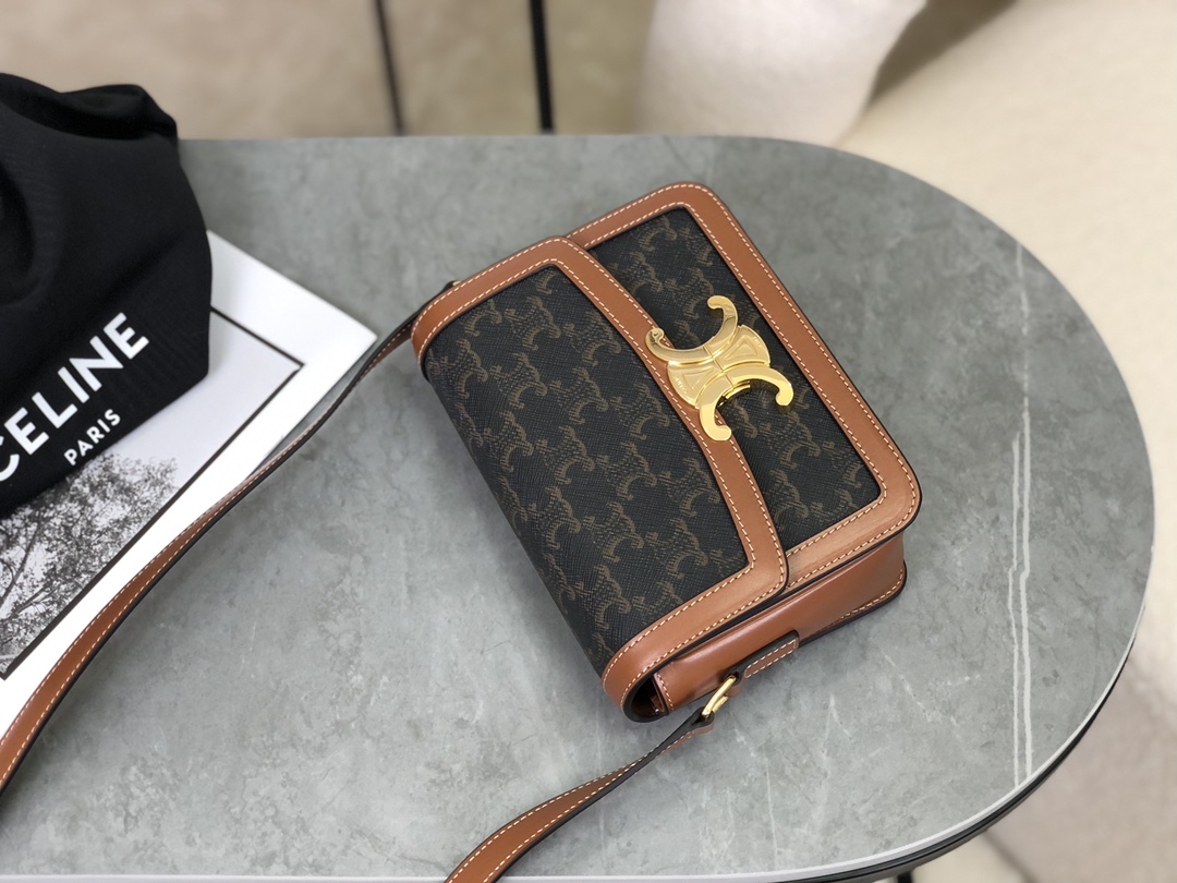 Celine Triomphe Bags